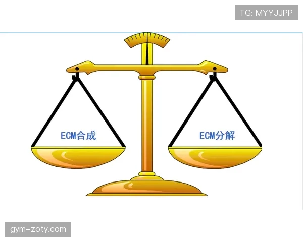 B费与德布劳内在各自体系中进攻驱动方式的分化机制